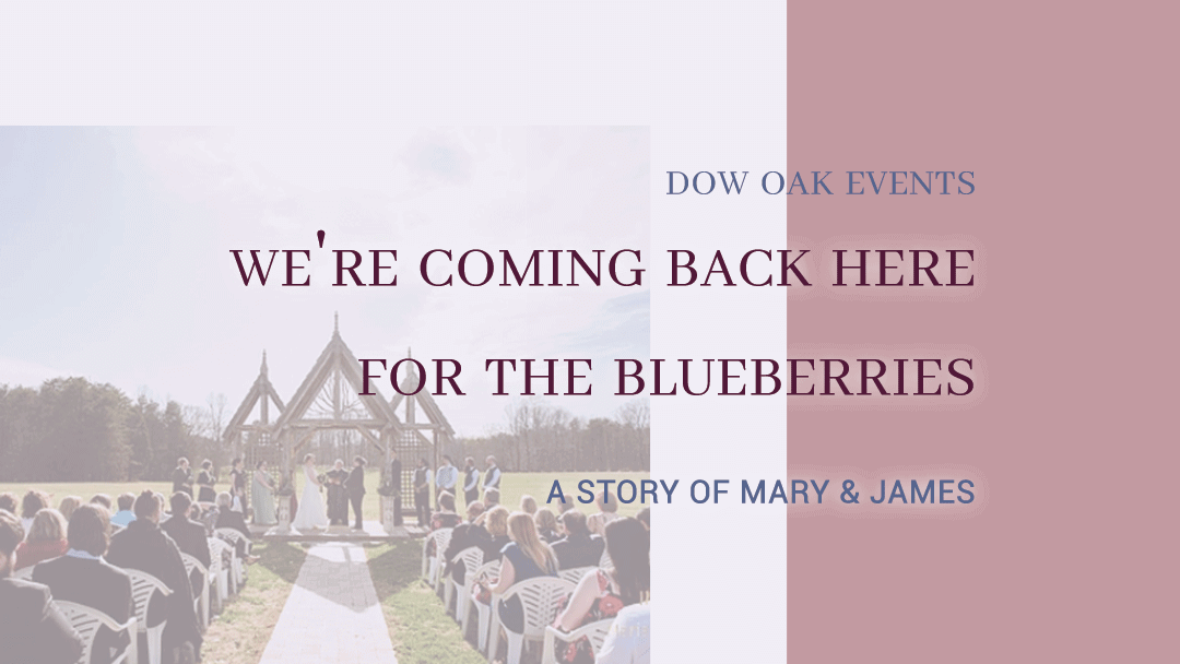 We’re Coming Back Here for the Blueberries