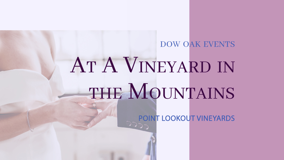 At A Vineyard in the Mountains