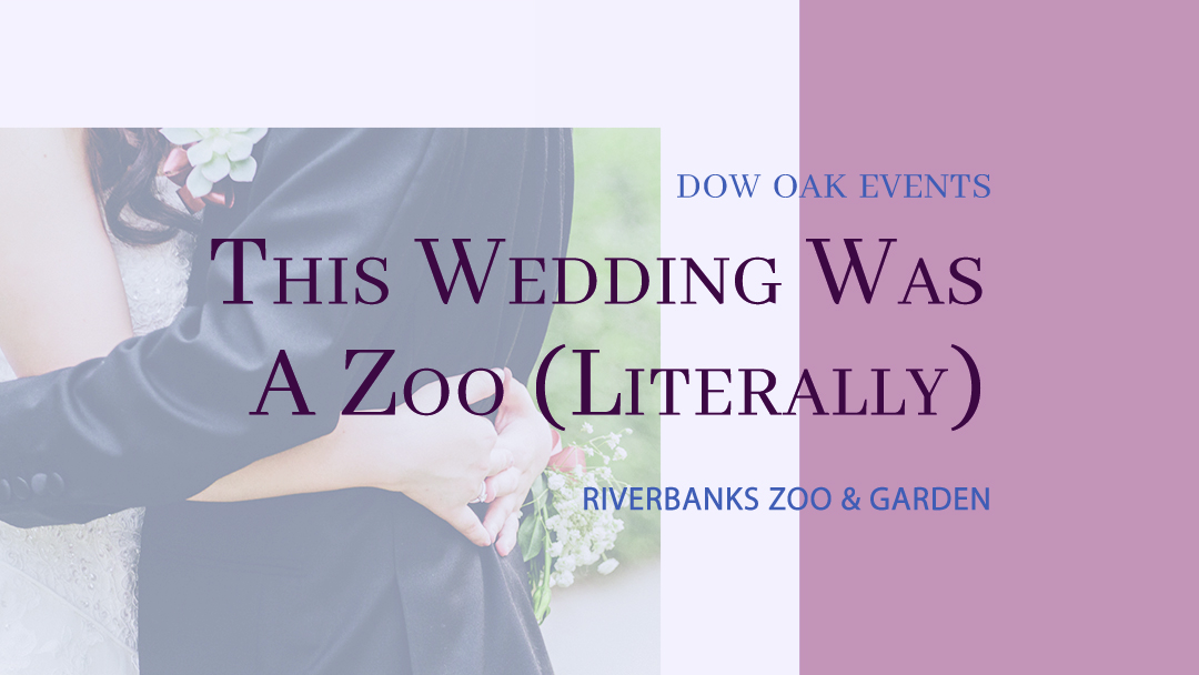 This Wedding Was A Zoo (Literally)