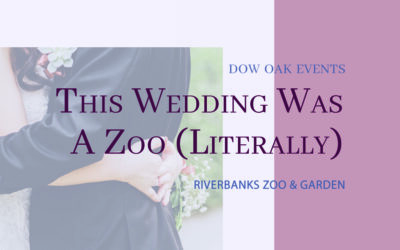 This Wedding Was A Zoo (Literally)