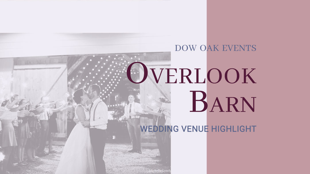 Lively Dance Floor and Family Moments at Overlook Barn