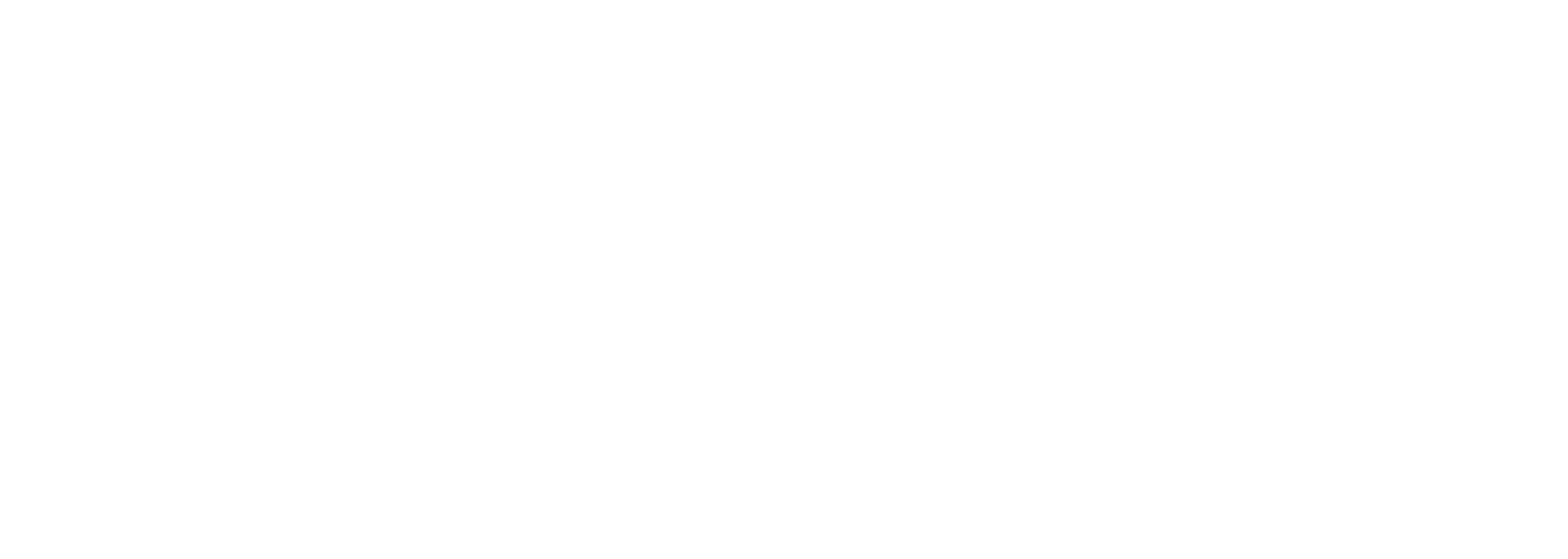 White Logo (Medium)