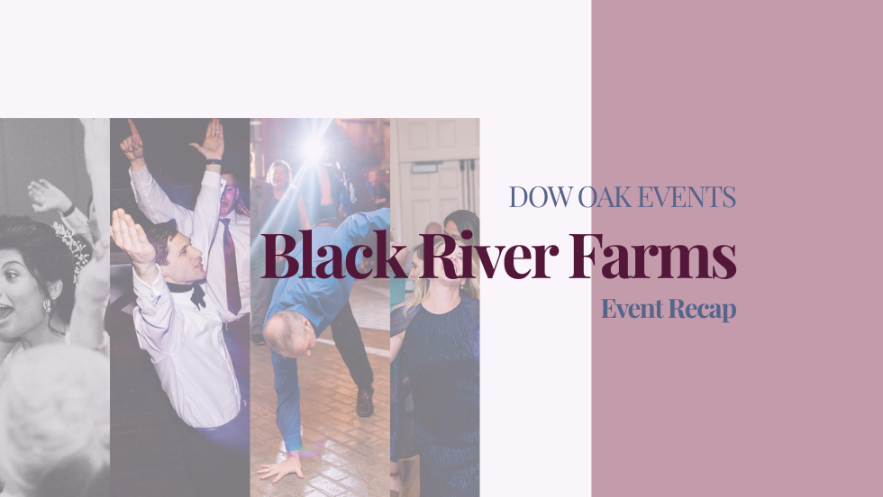 Wedding DJ at Black River Farms in Bethlehem, PA