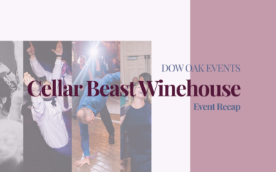 Wedding DJ at Cellar Beast Winehouse in Andreas, PA