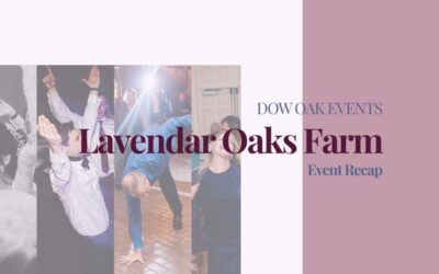 Wedding DJ and Photobooth at Lavender Oaks Farm in Chapel Hill, NC