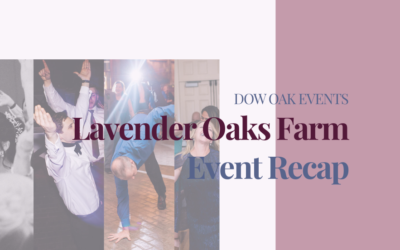 Wedding DJ at Lavender Oaks Farm in Chapel Hill, NC