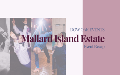 Wedding DJ at Mallard Island Estate in Manahawkin, NJ