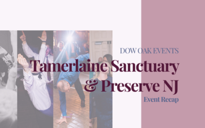 Wedding DJ at Tamerlaine Sanctuary & Preserve in Montague, NJ