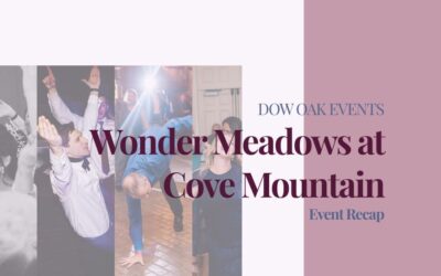 Wedding DJ at Wonder Meadows at Cove Mountain in Sevierville, TN