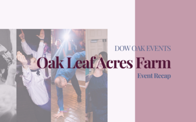 Wedding DJ and Photobooth at Oak Leaf Acres Farm in McLeansville, NC