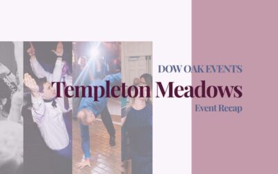 Dance Floor Lighting and Acoustic Mix at Templeton Meadows
