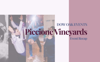 Lively reception and intimate ceremony at Piccione Vineyards