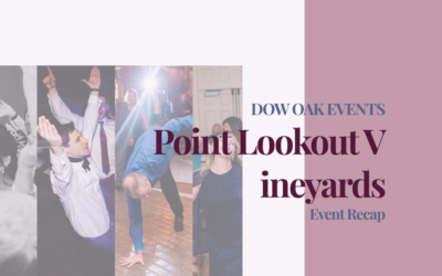 Champagne Backdrop Crowded Photo Booth at Point Lookout Vineyards